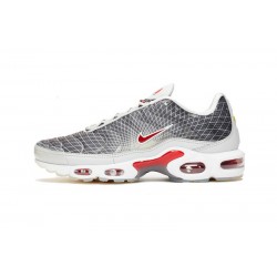 PK Sneakers Air Max Plus Tn Grey and White Shoes