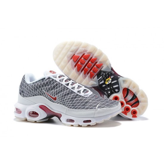 PK Sneakers Air Max Plus Tn Grey and White Shoes