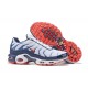 PK Sneakers Air Max Plus Tn QS White Blue and Red Shoes