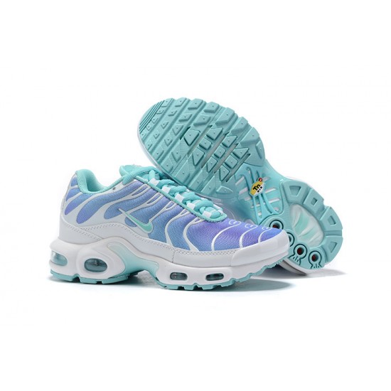 PK Sneakers Air Max Plus Tn White Blue Shoes